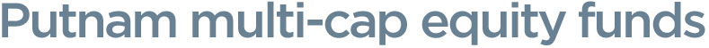Multi-cap Mutual Funds at Putnam Investments