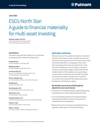 ESG's North Star: A guide to financial materiality for multi-asset investing