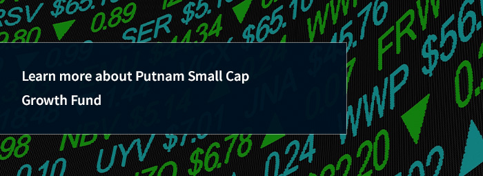 Explore Putnam Small Cap Growth fund