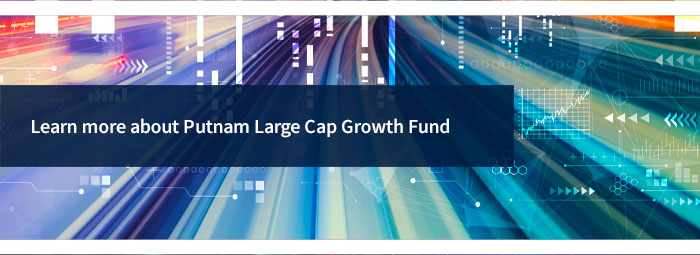 link to Putnam Large Cap Growth Fund
