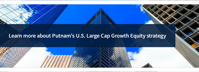 link to Putnam U.S Large Cap Growth Equity strategy