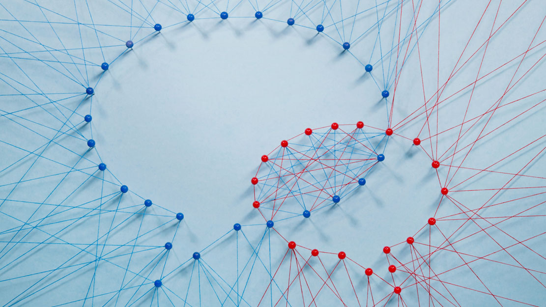 Learning from our institutional partners